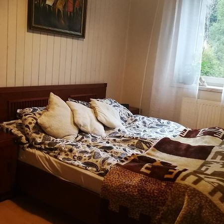 Szczyrk Mountainski Apartament Kültér fotó